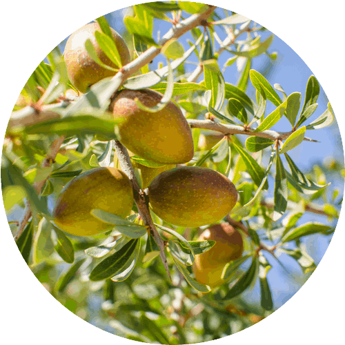 メリッサボーテ ハーバルクレイマスク 2 arugan 701065335 500x500 1