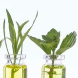 顔と体を一回でにオススメのトリートメント